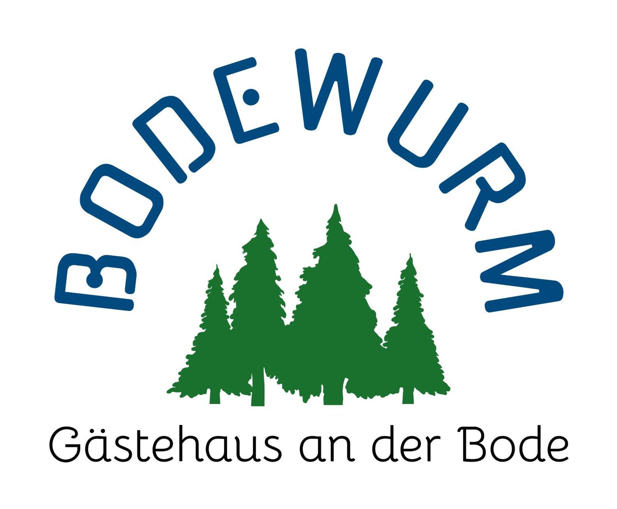 Gaestehaus Bodewurm Braunlage Exterior photo