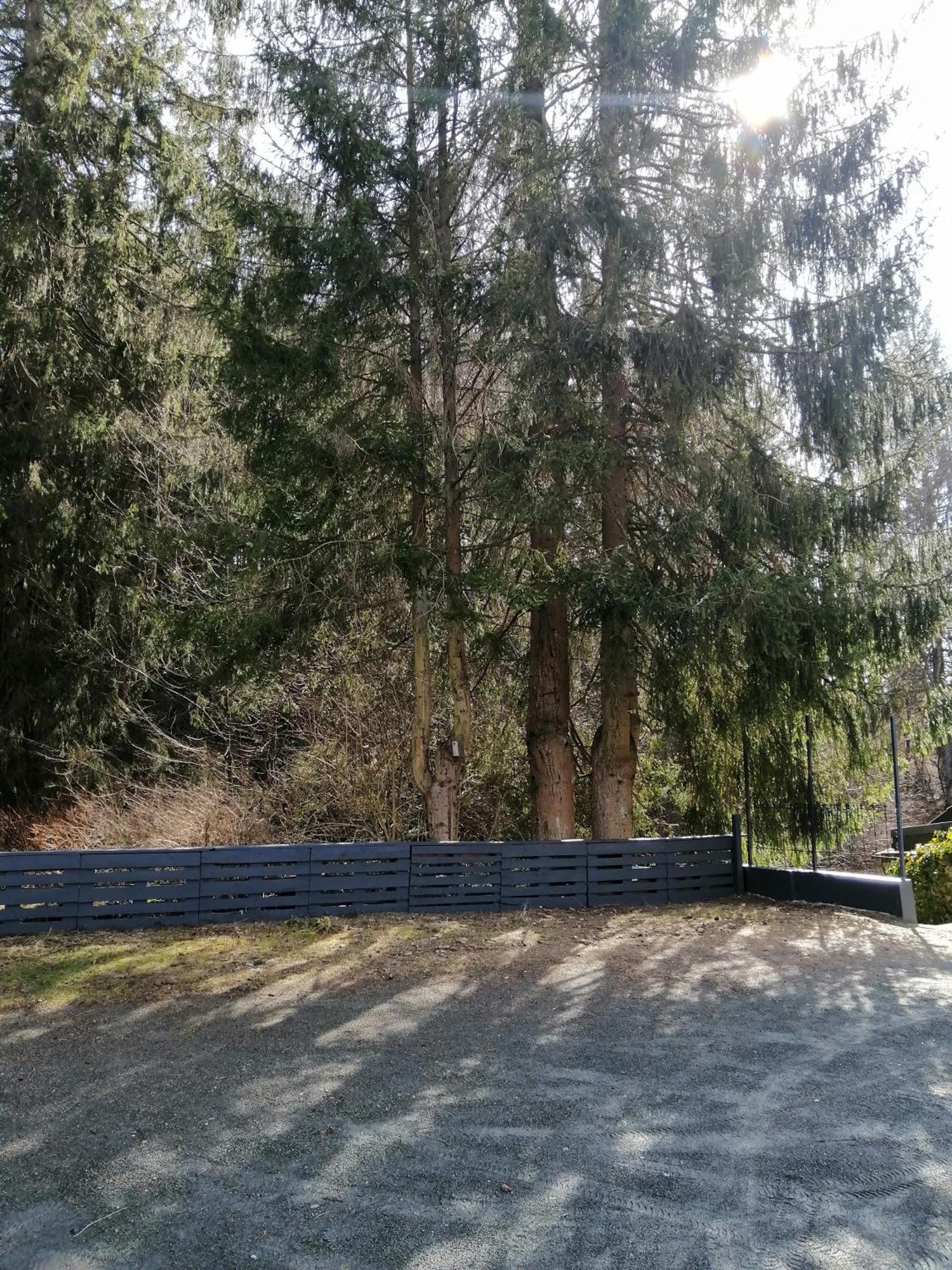 Gaestehaus Bodewurm Braunlage Exterior photo